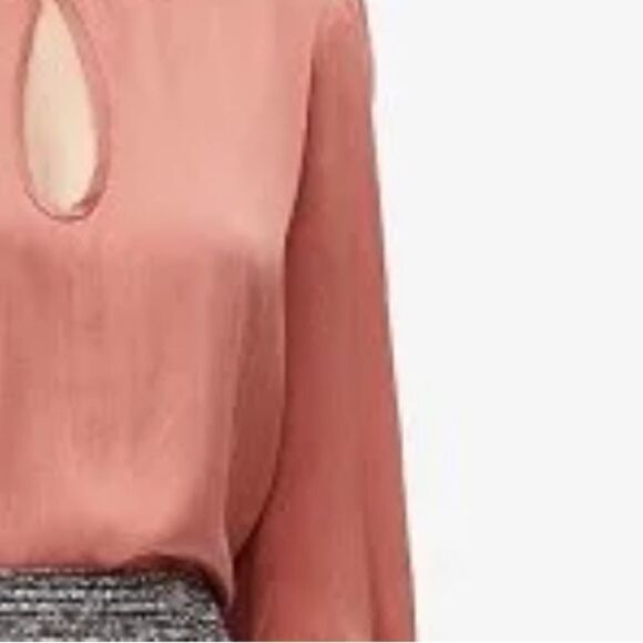 Rebecca Taylor Tailored Long Sleeve Charmeuse Silk Top Burnt Rose NWT size 12 - Picture 8 of 12